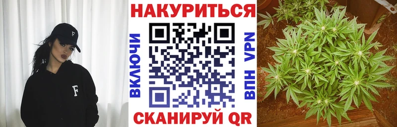 Шишки марихуана индика KRAKEN как войти Козельск наркошоп